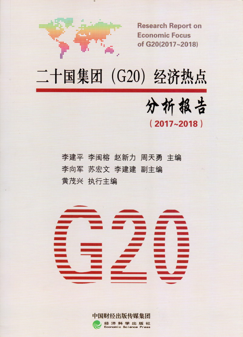 sm小骚狗二十国集团（G20）经济热点分析报告（2017-2018）